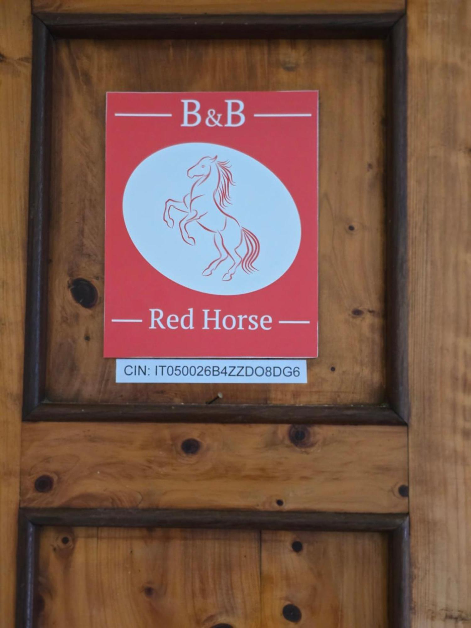 Red Horse Bed and breakfast Pisa